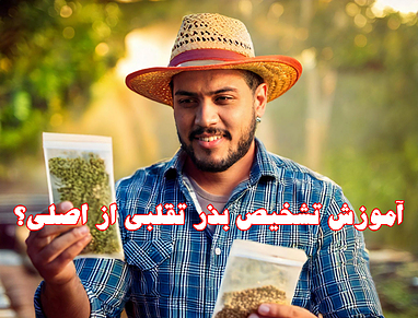 چگونه بذر تقلبی را از اصلی تشخیص دهیم؟