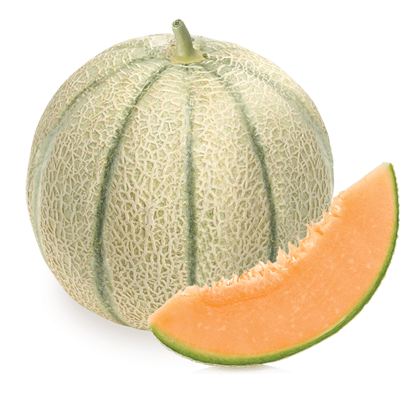تیپ ملون شارانته