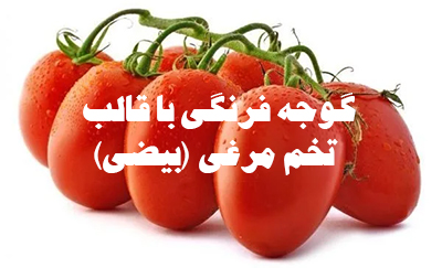 تیپ بیضی تخم مرغی گوجه فرنگی