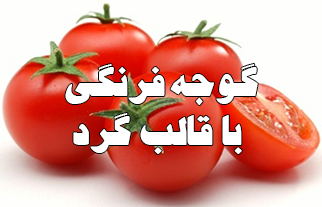 تیپ گرد گوجه فرنگی