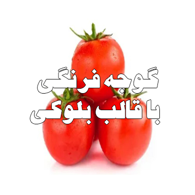 تیپ گوجه بلوکی